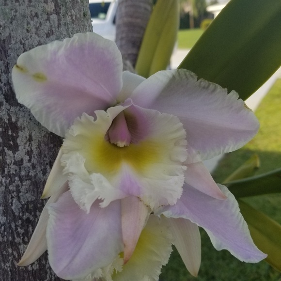 Meet your Posher, Debora - Picture 1 of 1